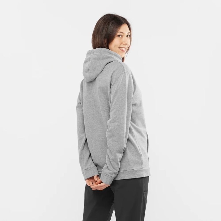 Grey Salomon Outlife Logo Summer Heather Women's Hoodie | PH 81362G